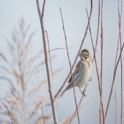 15149097516-1.jpg