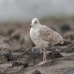 DSC_1215.jpg