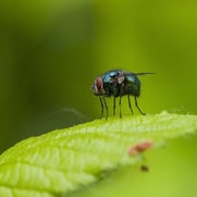 15074614412-1.jpg