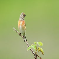 DSC_2364.jpg