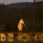 dsc_9673-2.jpg