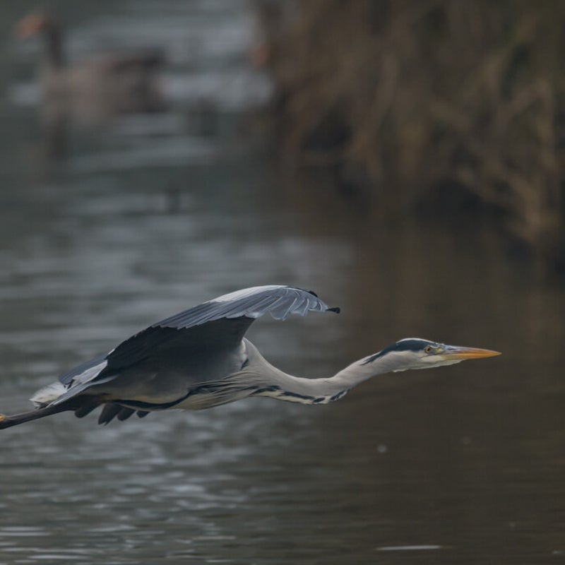 DSC_5012.jpg