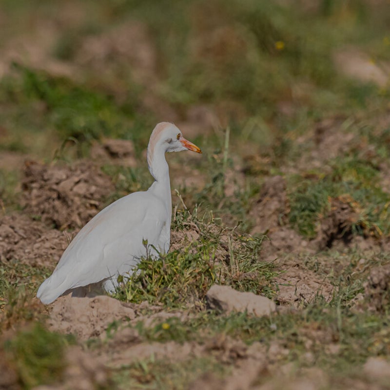 DSC_4042.jpg