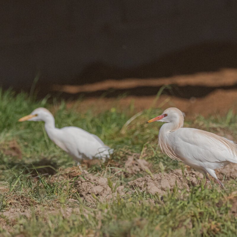 DSC_4030-1.jpg