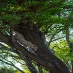 dsc_7782-3.jpg