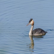 dsc_0227-standard.jpg