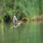 dsc_0807-standard.jpg