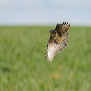 dsc_0886-standard.jpg