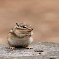 dsc_1244-standard-b06pmz.jpg