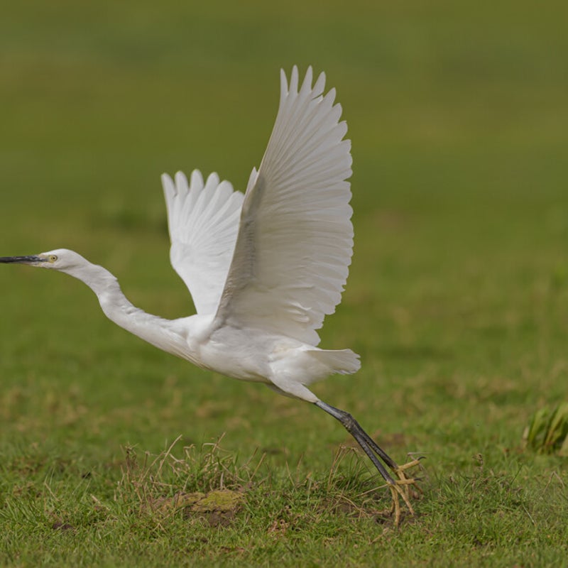 dsc_1376-standard.jpg