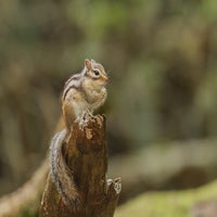 dsc_1424-standard.jpg