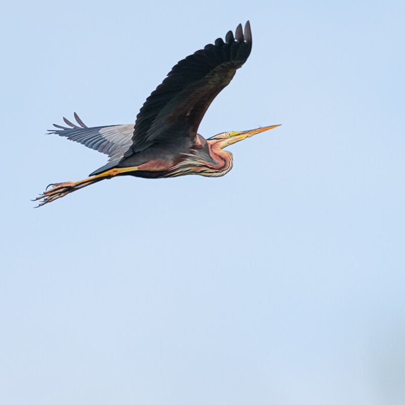 dsc_1663-standard.jpg