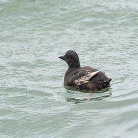 dsc_3054-standard.jpg