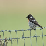 dsc_3303-standard.jpg