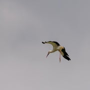 dsc_3493-standard.jpg
