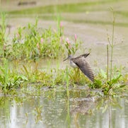dsc_3557-standard.jpg