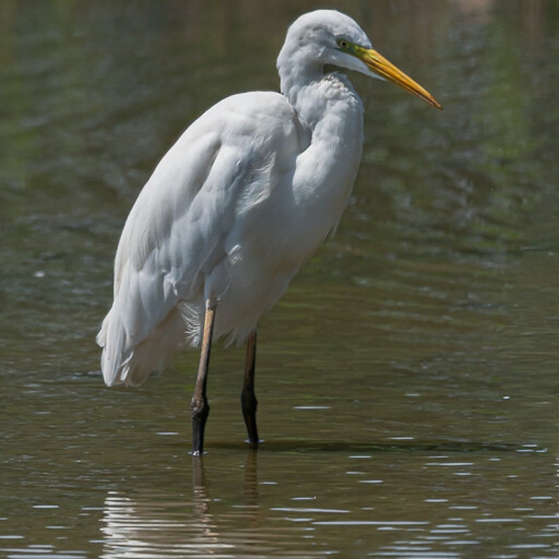 dsc_3821-standard-l6tc5u.jpg