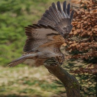 dsc_4117-standard-e6tuu2.jpg