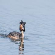 dsc_4391-standard-umynly.jpg