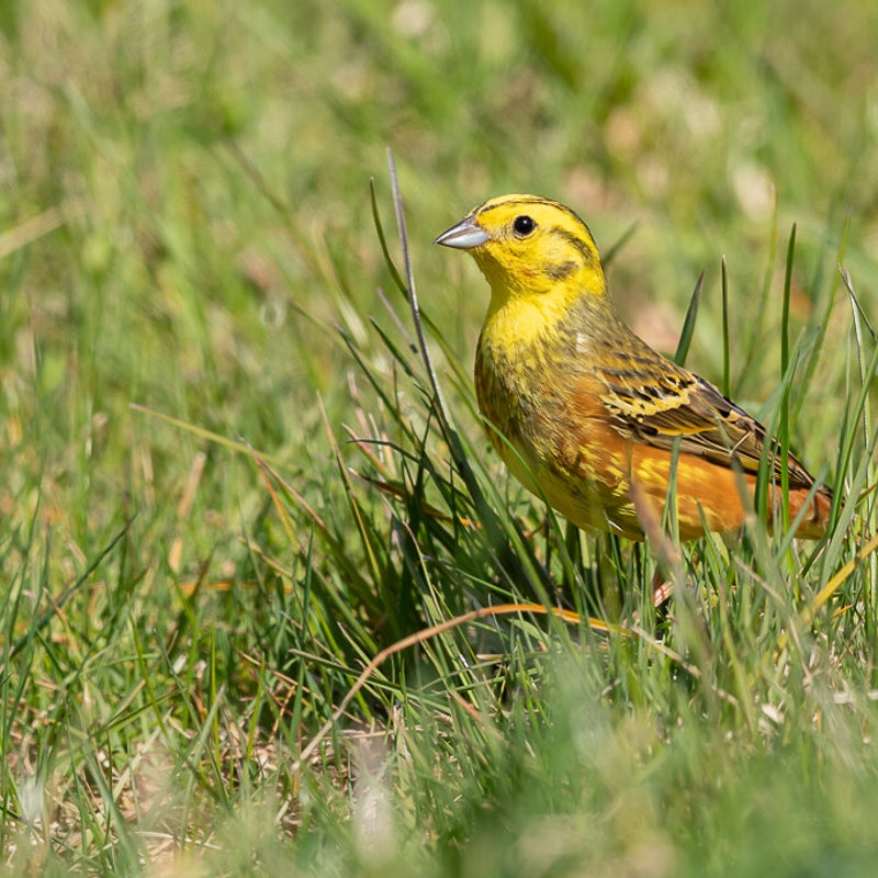 dsc_6005-2-standard.jpg