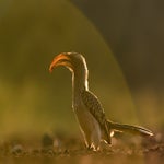 dsc_8481-standard.jpg