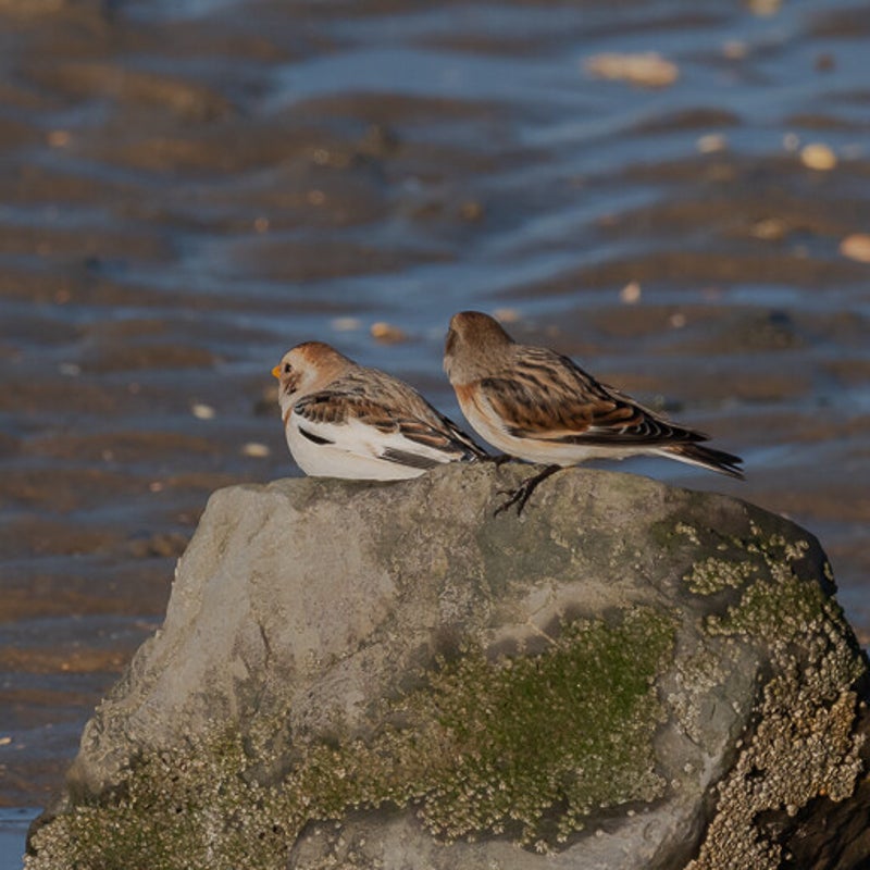 dsc_8778-standard.jpg