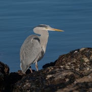 dsc_8821-standard-vybyzb.jpg