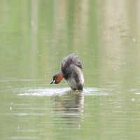 dsc_9763-standard-tbrwu7.jpg