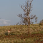 dsc_0034-2.jpg