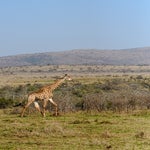 dsc_8089-2.jpg