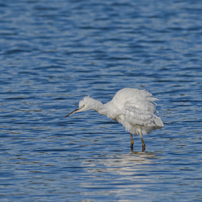 DSC_3075.jpg