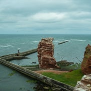 154823813024-1.jpg