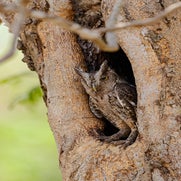dsc_4083.jpg