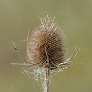 1514909751-1.jpg