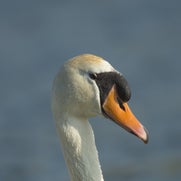 149459994026-1.jpg