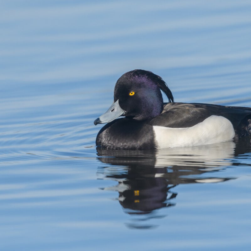 dsc_8511.jpg