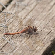 15086847361-1.jpg