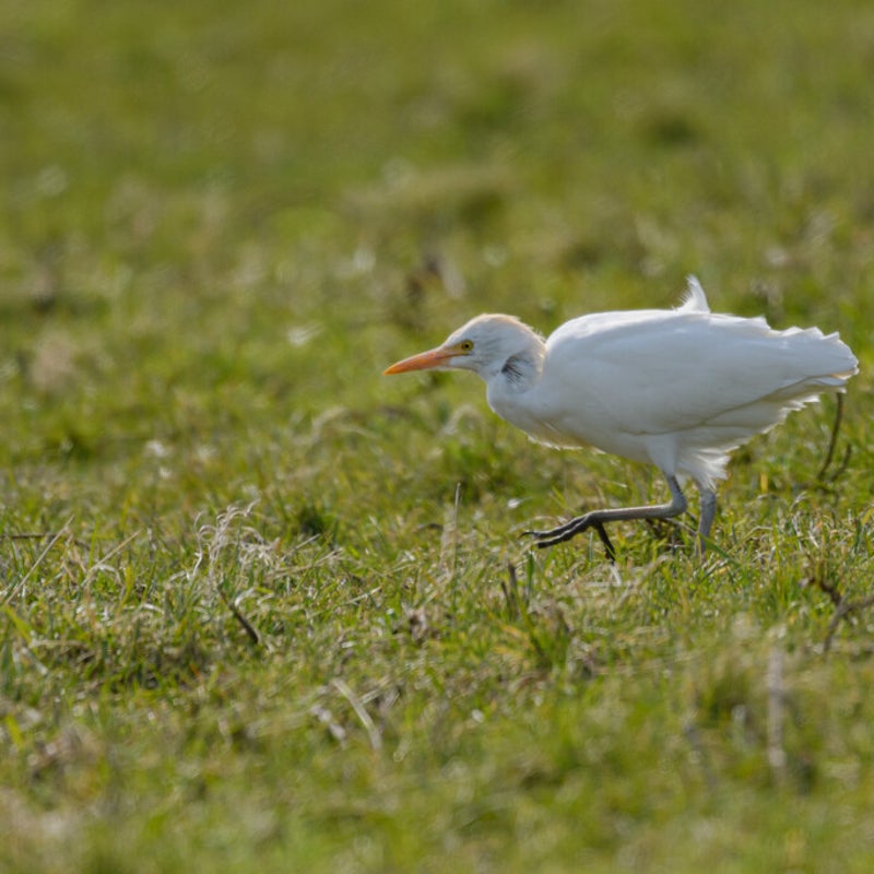 DSC_0630-1.jpg