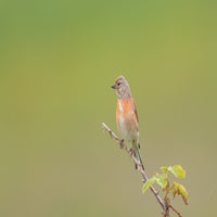 dsc_2360.jpg