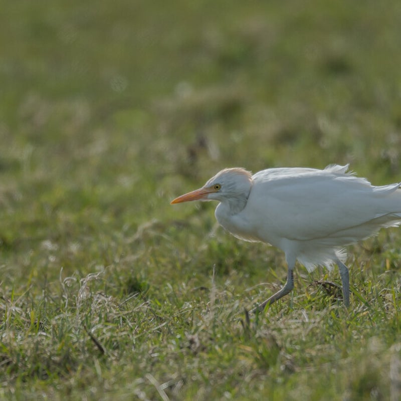 DSC_0631-1.jpg