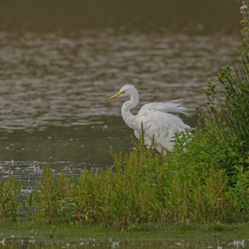 DSC_9362.jpg