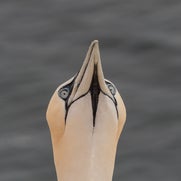 15482381309-1.jpg