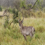 dsc_9365-3.jpg