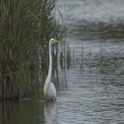 15071954443-1.jpg