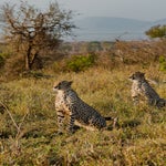 dsc_7422-3.jpg