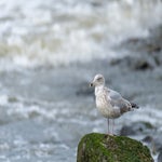 DSC_1231-2.jpg