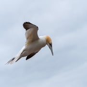 1559666150-1.jpg
