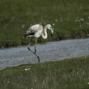 149459994015-1.jpg