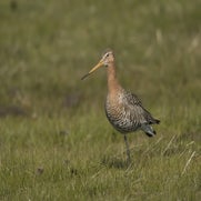 14945999409-1.jpg