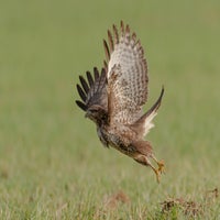 DSC_9045.jpg